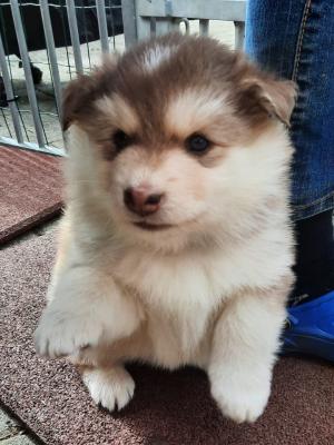 images/J-Wurf/Jill Sander/Jill-Sander-5-1.jpeg